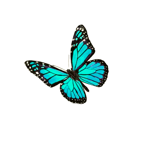 mariposa-logo